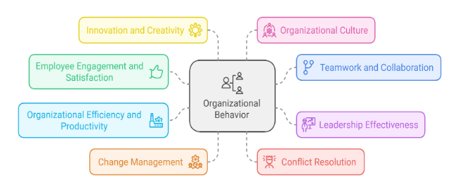 importance of organizational behavior